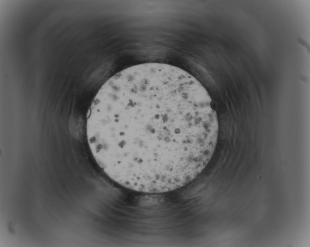 X0000096960077200803071100