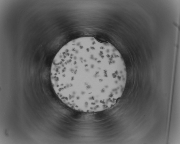 X0000096960078200803071100