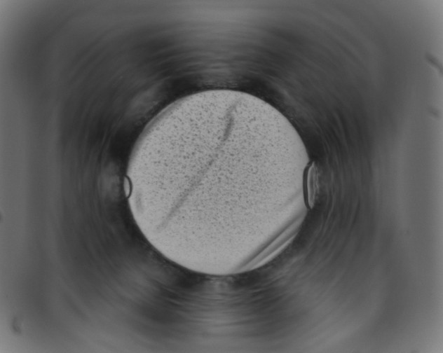 X0000096960080200803071100