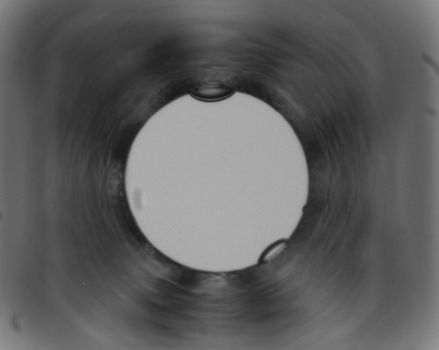 X0000096960083200803071100