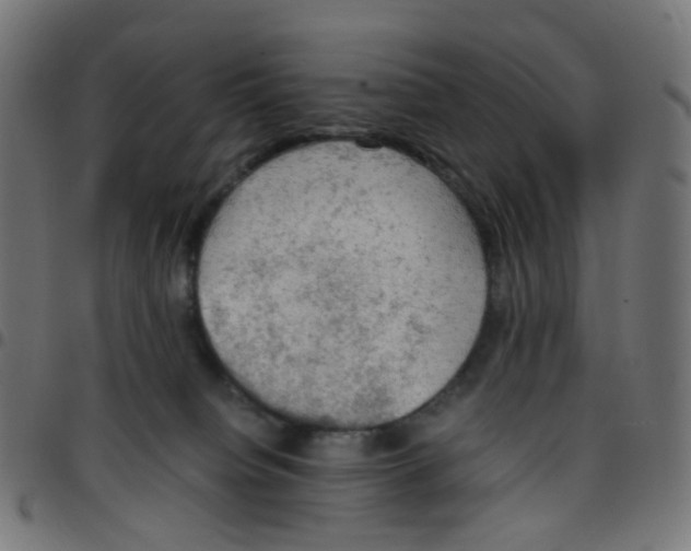 X0000096960084200803071100