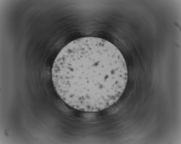 X0000096960085200803071100