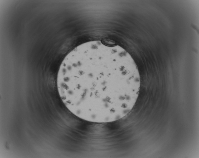 X0000096960086200803071100