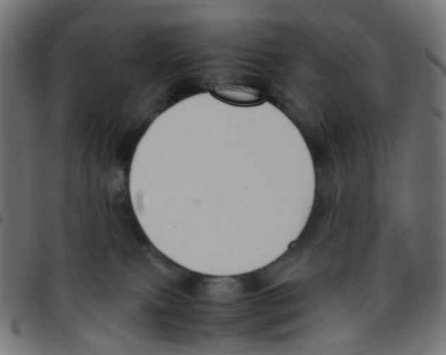 X0000096960087200803071100