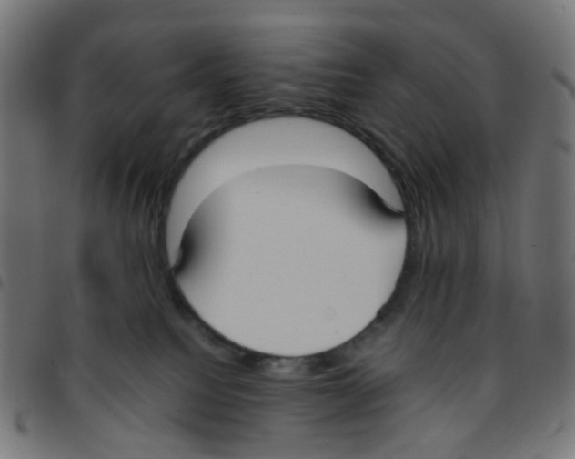 X0000096960088200803071100