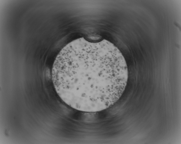 X0000096960089200803071100