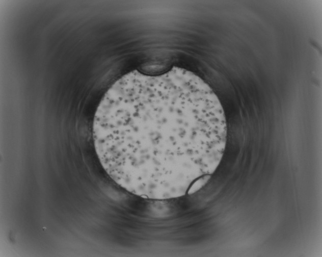 X0000096960091200803071100