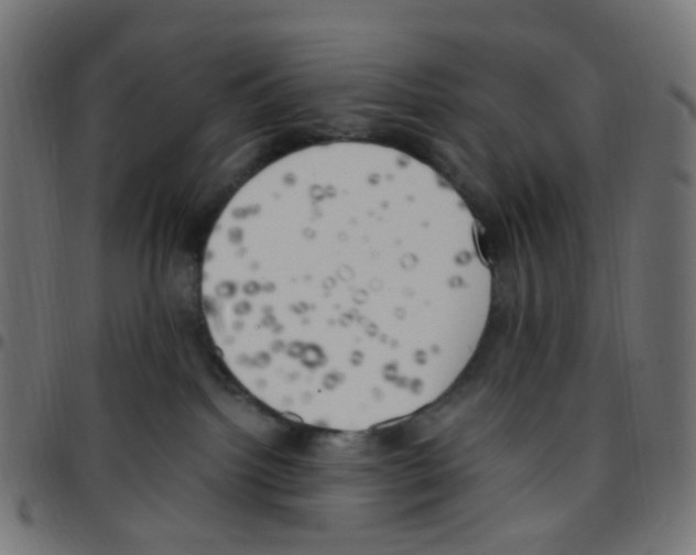 X0000096960092200803071100