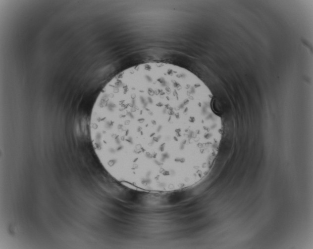 X0000096960094200803071100