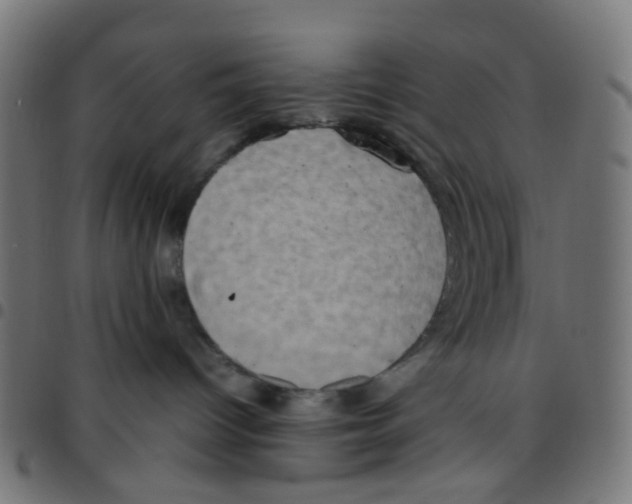 X0000096960096200803071101