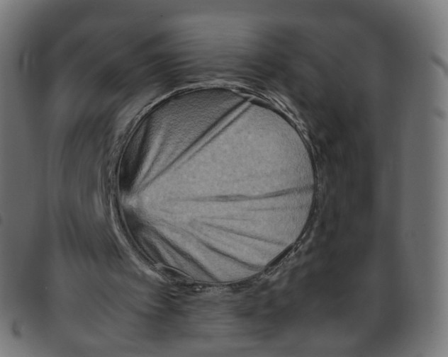 X0000096960097200803071100