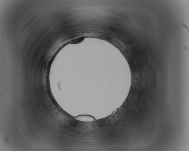 X0000096960098200803071100