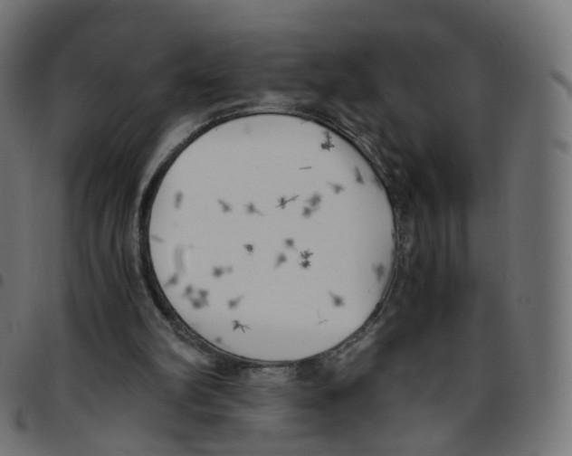 X0000096960102200803071100