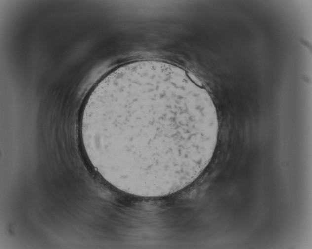 X0000096960103200803071100