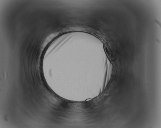 X0000096960104200803071100