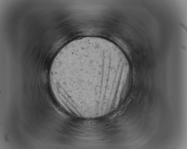 X0000096960105200803071100