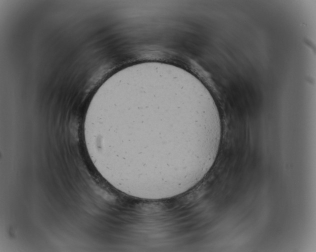 X0000096960106200803071100