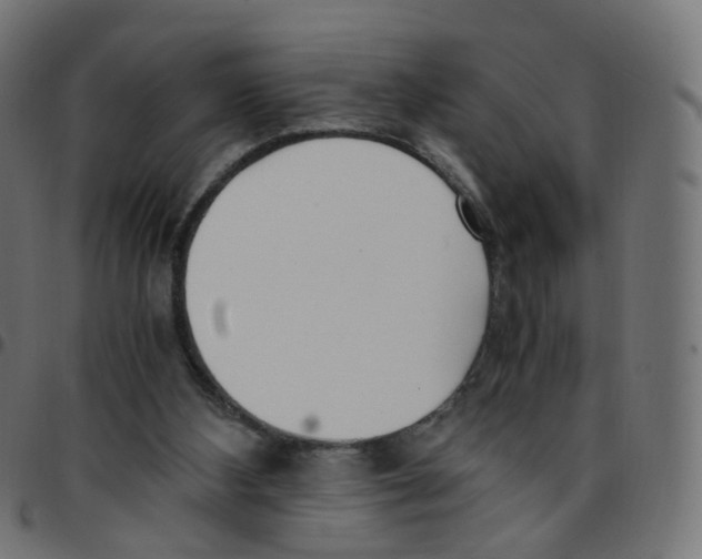 X0000096960108200803071100