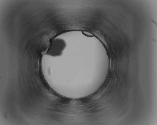 X0000096960109200803071100