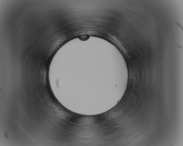 X0000096960110200803071100