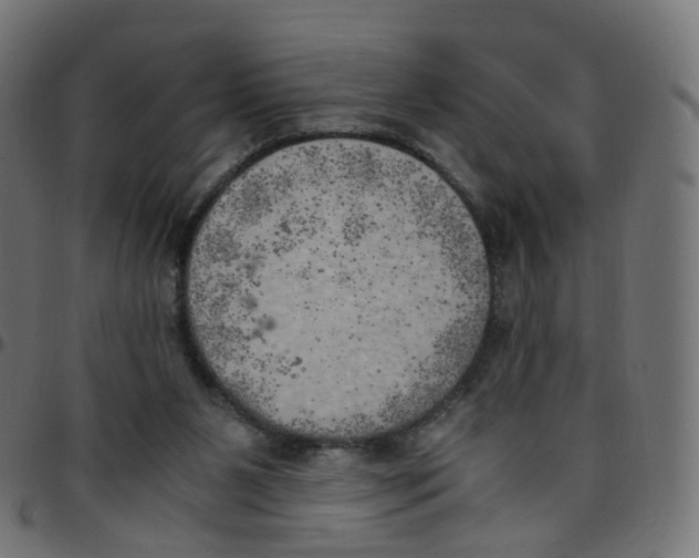 X0000096960111200803071100