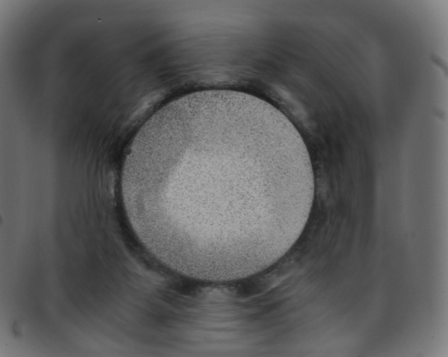 X0000096960115200803071100