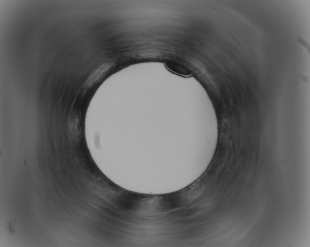 X0000096960116200803071059