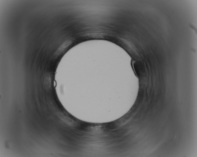 X0000096960120200803071059