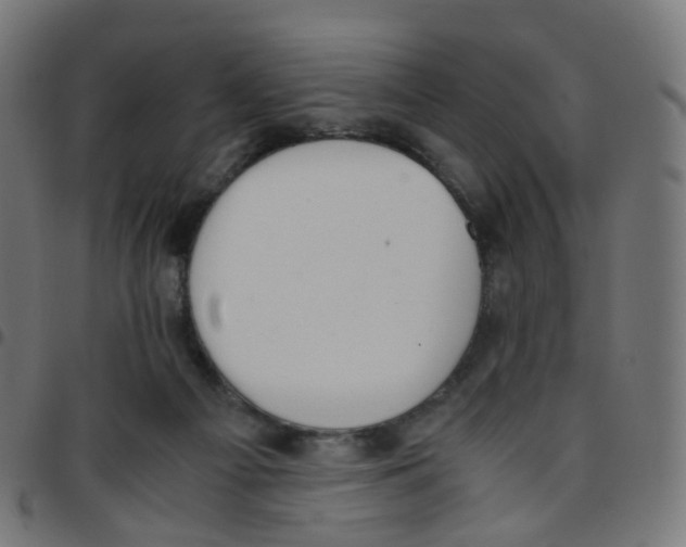 X0000096960121200803071059