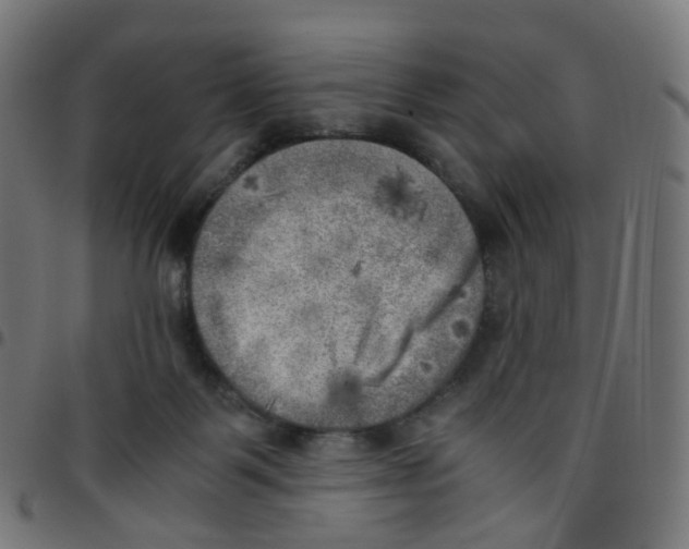 X0000096960123200803071059