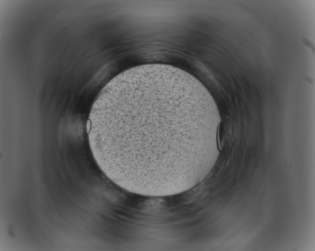 X0000096960124200803071059