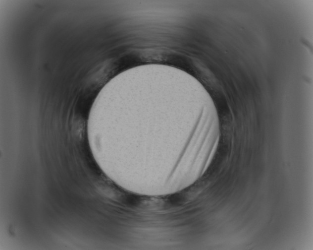 X0000096960125200803071059