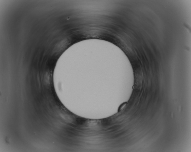 X0000096960126200803071059