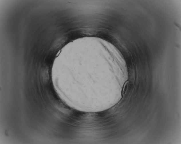 X0000096960128200803071059