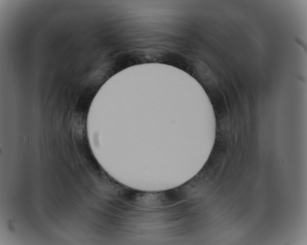 X0000096960129200803071059