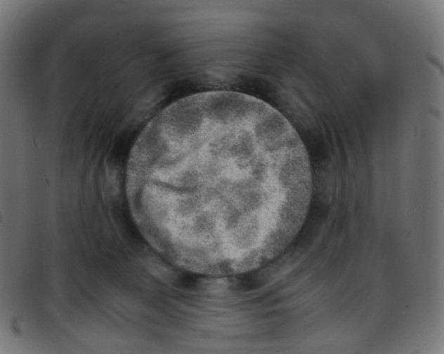 X0000096960131200803071059