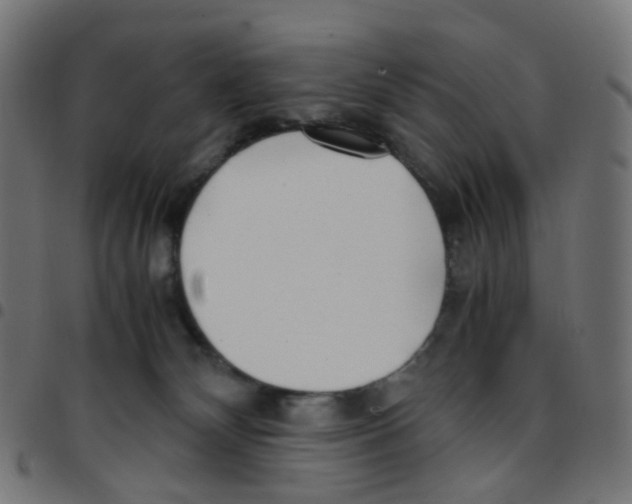 X0000096960132200803071059