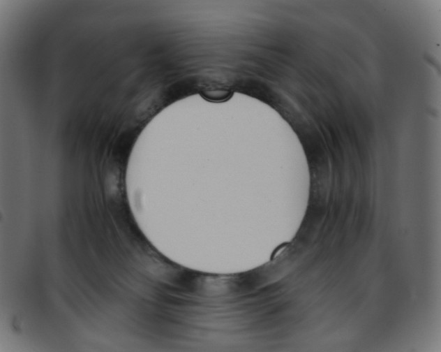 X0000096960134200803071059