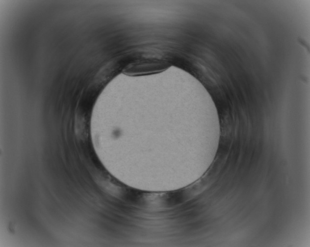 X0000096960136200803071059