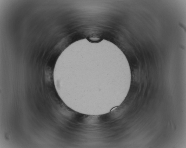 X0000096960138200803071059