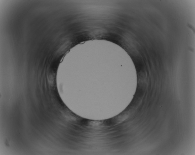 X0000096960139200803071059