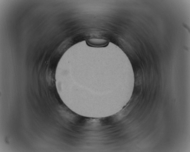 X0000096960140200803071059