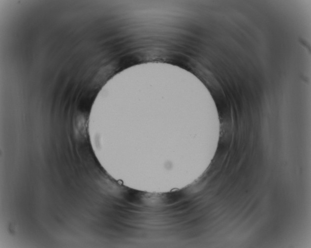 X0000096960142200803071059