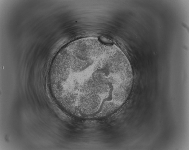 X0000096960145200803071058