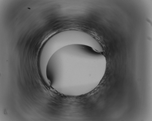 X0000096960146200803071058