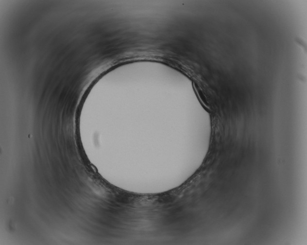 X0000096960148200803071058