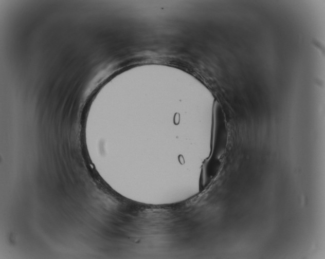 X0000096960150200803071058