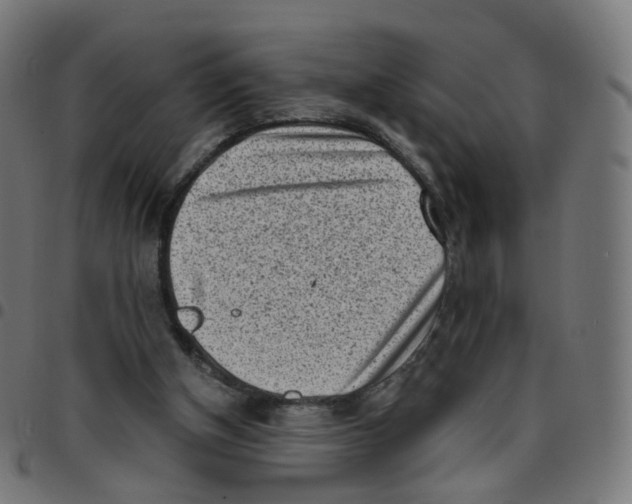 X0000096960154200803071059