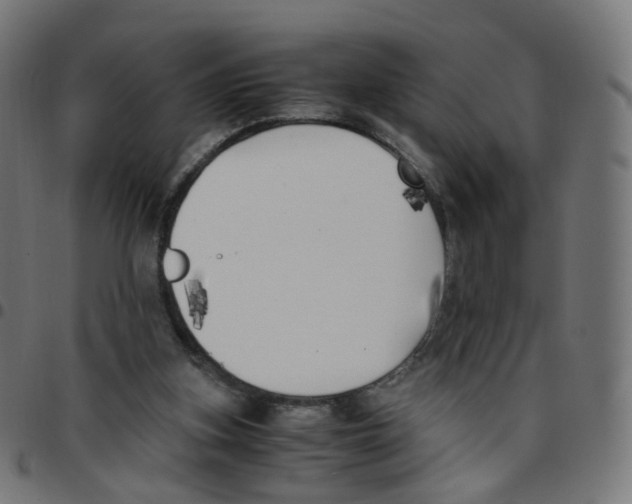 X0000096960155200803071059