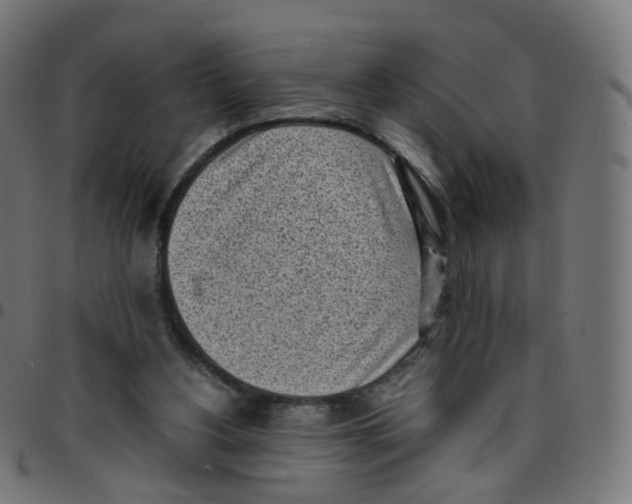 X0000096960156200803071059